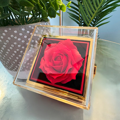To My Wife: Love Knot with Rotating Rose Gift Box