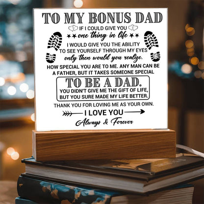 My Bonus Dad  "If I Could Give You One Thing in Life"